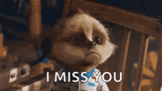 a meerkat is sitting in a chair with the words `` i miss you '' written on it .