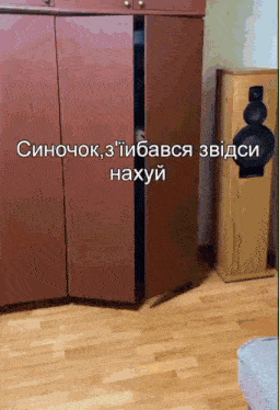a picture of a speaker and a closet with a foreign language caption
