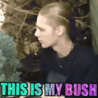 Bush Icy Da Rabbitf GIF - Bush Icy Da Rabbitf 420 GIFs