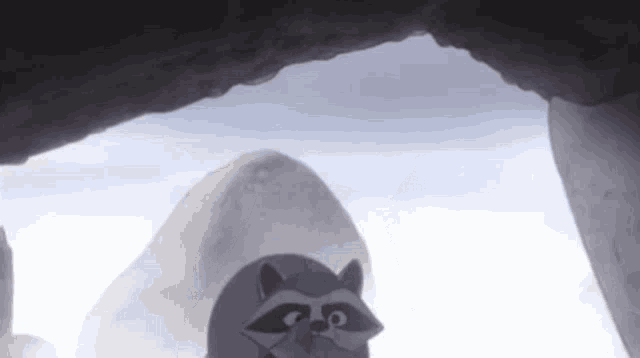 a raccoon is standing in a cave looking out .