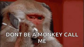 Dont Be A Monkey Call Me GIF - Dont Be A Monkey Call Me GIFs