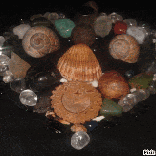 a heart shaped display of seashells and crystals with pixiz written on the bottom