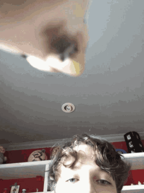 a person with a bird on their head and a box that says ' u ' on it