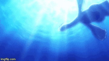a dolphin is swimming in the ocean and looking up at the sun .