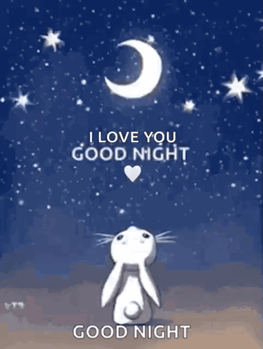 Goodnight Bunny GIF - Goodnight Bunny Watching GIFs