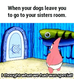 patrick star from spongebob squarepants says when your dogs leave you to go to your sister 's room
