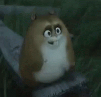 Boltrhino Excited GIF - Boltrhino Excited Hampster GIFs