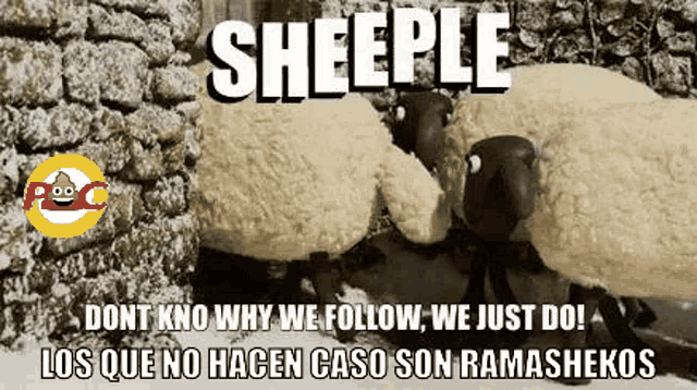 two sheep are standing next to each other with the words sheeple on top