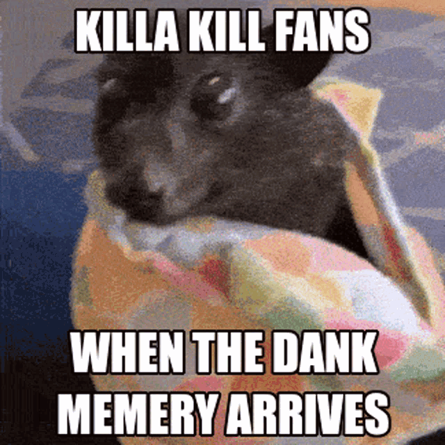 Kill La Kill Bat GIF - Kill La Kill Bat Meme GIFs