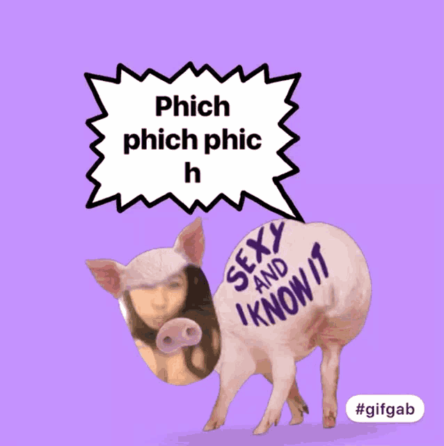 a picture of a pig with a speech bubble that says phich phich phic h