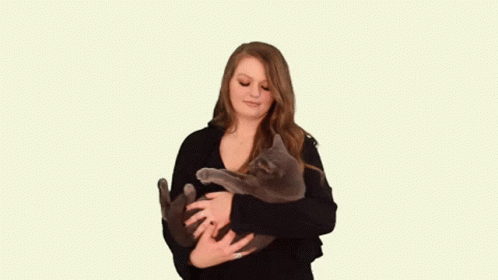 Cat Meow GIF - Cat Meow Love Animals GIFs
