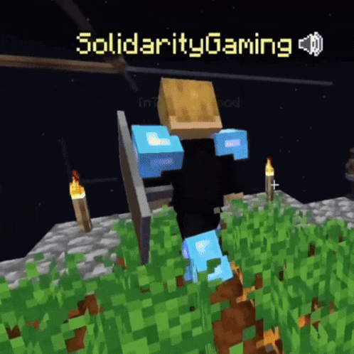 a screenshot of a video game with solidarity gaming written on the bottom