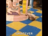 a hamster is laying on a checkered floor next to a carousel and says `` whatever '' .