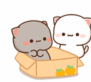 two cats are sitting in a cardboard box with oranges on it .