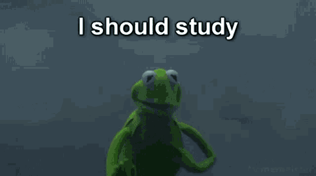 Memes Studying GIF - Memes Studying Oof GIFs