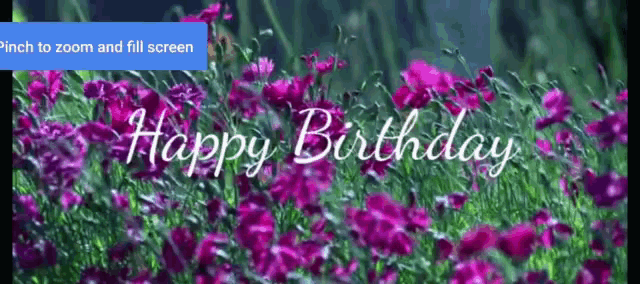 Happy Birthday Marion GIF - Happy Birthday Marion Finch GIFs