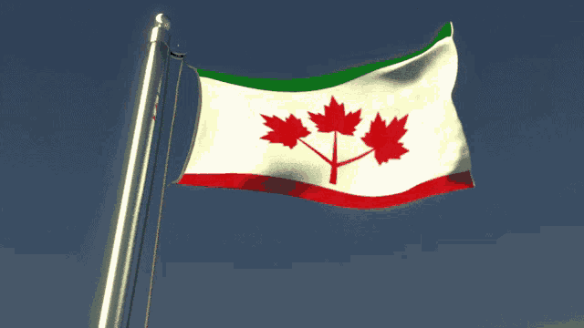a canadian flag with red leaves on it