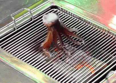 오징어 오징어 구이 해산물 한식 GIF - Squid Grilled Squied Seafood GIFs