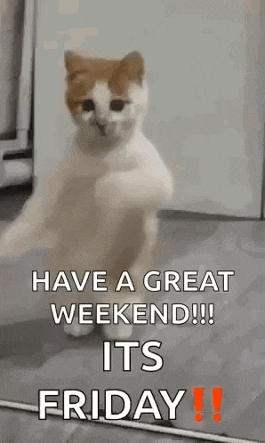 a cat is dancing on its hind legs with the words `` have a great weekend !!! it 's friday '' .