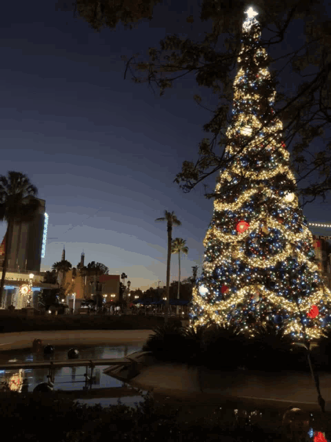 a large christmas tree is lit up in front of a building that says universal