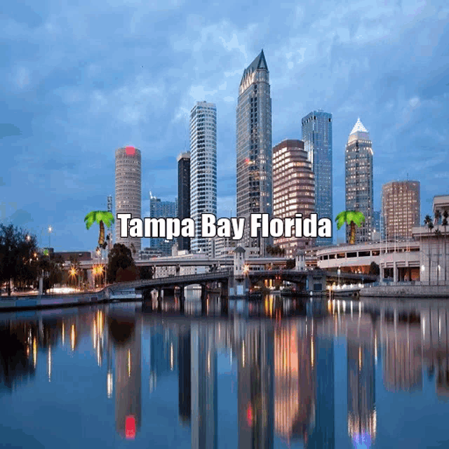 Tampa Bay GIF