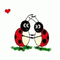 Bugs Lady Bugs GIF - Bugs Lady Bugs Hearts GIFs