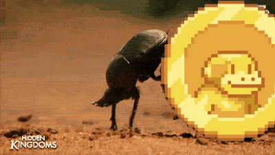 a pixel art of a bug and a gold coin with the words hidden kingdoms on the bottom