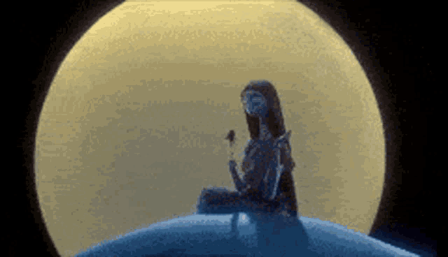 sally from the nightmare before christmas is holding a flower