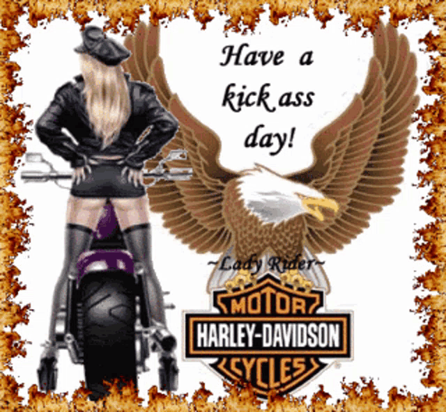 a lady riding a harley davidson motorcycle with an eagle in the background