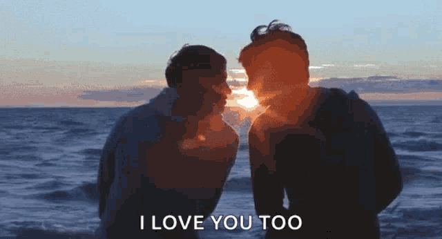 a man and a woman are kissing on the beach at sunset while the sun shines through their faces .