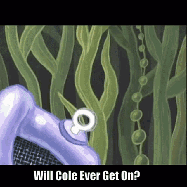 Cole Conch GIF - Cole Conch Shell GIFs