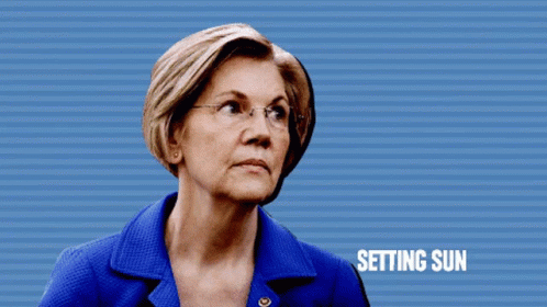 Elizabeth Warren Politics GIF - Elizabeth Warren Politics Vote GIFs