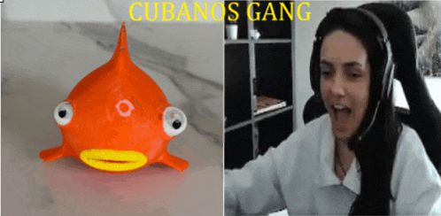 a picture of a fish next to a picture of a woman wearing headphones