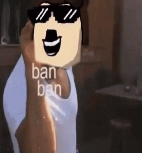 Banned Roblox Ban GIF - Banned Ban Roblox Ban GIFs