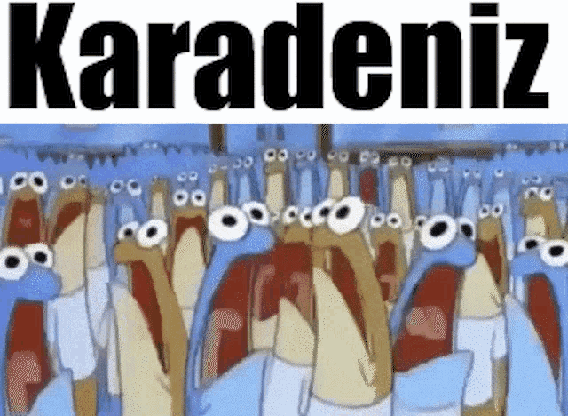 a group of cartoon characters are standing in front of a sign that says karadeniz ..