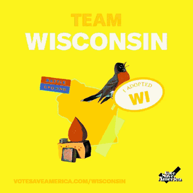 a poster that says team wisconsin with a bird on a map