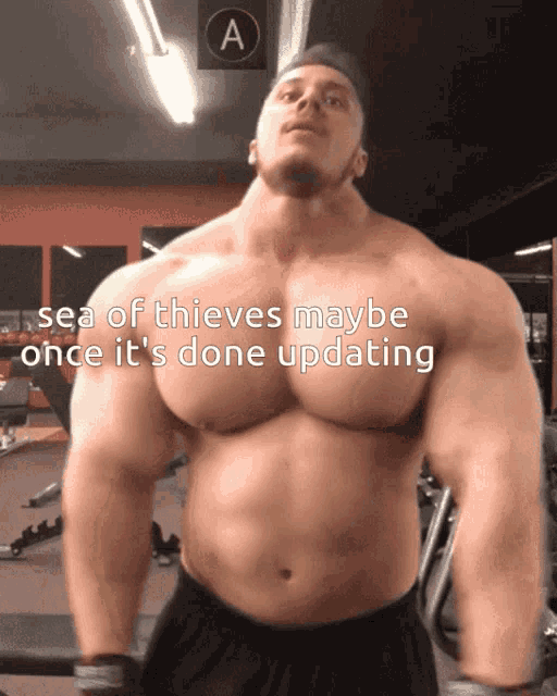 a very muscular man in a gym with the words sea of thieves maybe once it 's done updating below him