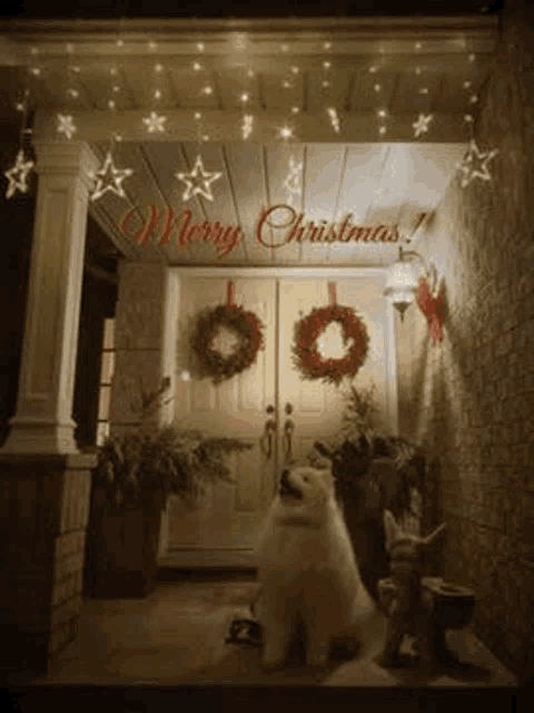 Samoyed Dog GIF - Samoyed Dog Christmas GIFs