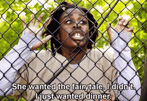 a man is behind a chain link fence and says she wanted the fairytale i did n't