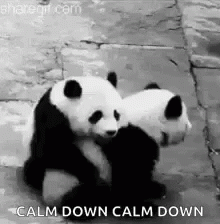 Free Hugs Friend GIF - Free Hugs Friend Panda GIFs