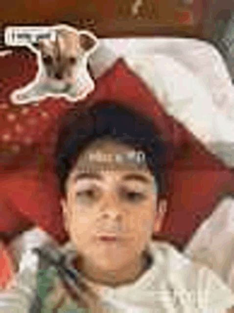 a young boy is laying on a bed with a dog looking at him .