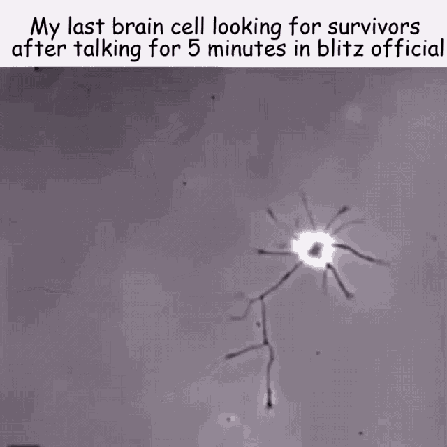 Blitzmoment GIF