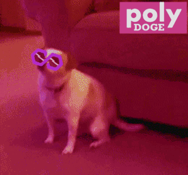 Polydoge Pdoge GIF - Polydoge Pdoge Polygon GIFs