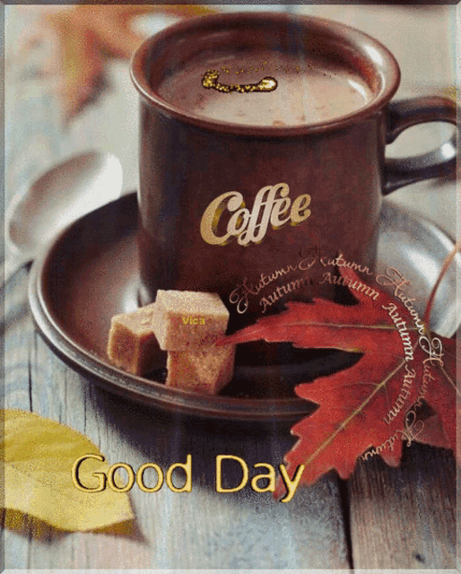 a cup of coffee sits on a saucer with sugar cubes and leaves