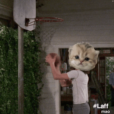 a person with a cat head holding a basketball