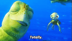 Finding Nemo Turtle GIF - Finding Nemo Turtle Sea GIFs