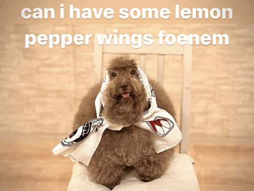 a dog sitting on a chair with a towel around its head and the words can i have some lemon pepper wings foenem above