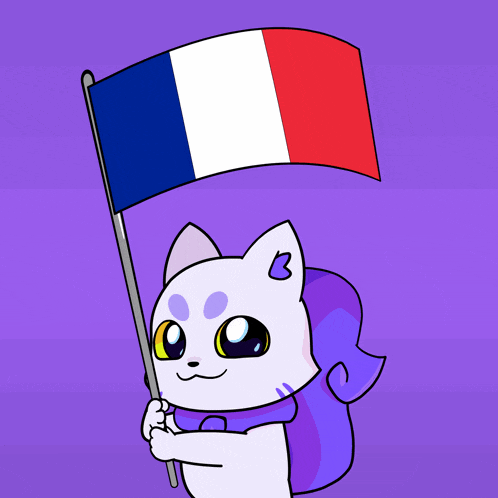 a cartoon cat holding a french flag with the letter b on its head