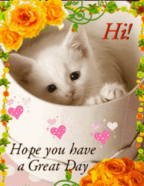 a picture of a kitten in a cup with the words hope you have a great day on it