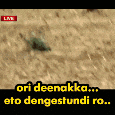 a screen displays a live broadcast with the words ori deenakka eto dengestundi ro